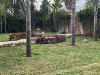 Vente magnifique villa à route el Jadida 2445m2 - Villa à vendre - Casablanca