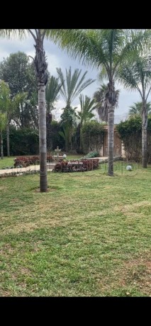 vente-magnifique-villa-a-route-el-jadida-2445m2-big-16