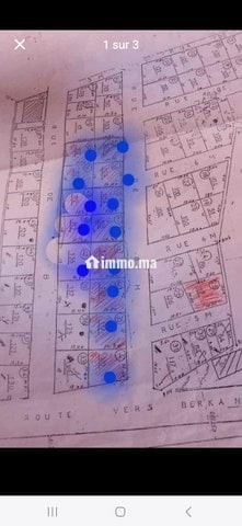 بلانات للبيع بتزاغين - Vente Immobilier - Berkane - photo 1
