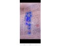 blanat-llbyaa-btzaghyn-small-0