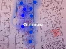 blanat-llbyaa-btzaghyn