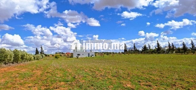Ferme à 50km de Rabat - Vente Immobilier - Rabat - photo 2