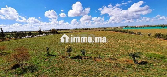 Ferme à 50km de Rabat - Vente Immobilier - Rabat - photo 3