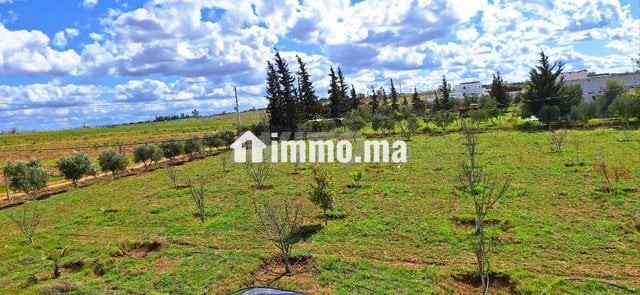 Ferme à 50km de Rabat - Vente Immobilier - Rabat - photo 4