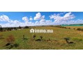 ferme-a-50km-de-rabat-small-2
