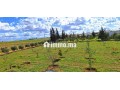 ferme-a-50km-de-rabat-small-3
