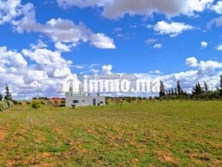Ferme à 50km de Rabat - Terrain à vendre - Rabat