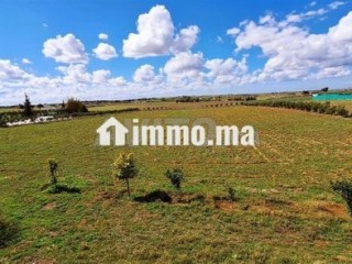 Ferme à 50km de Rabat - Terrain à vendre - Rabat