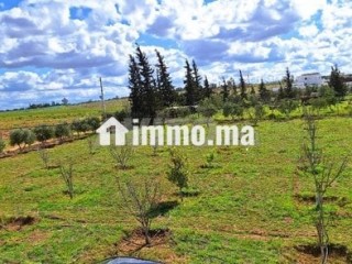 Ferme à 50km de Rabat - Terrain à vendre - Rabat