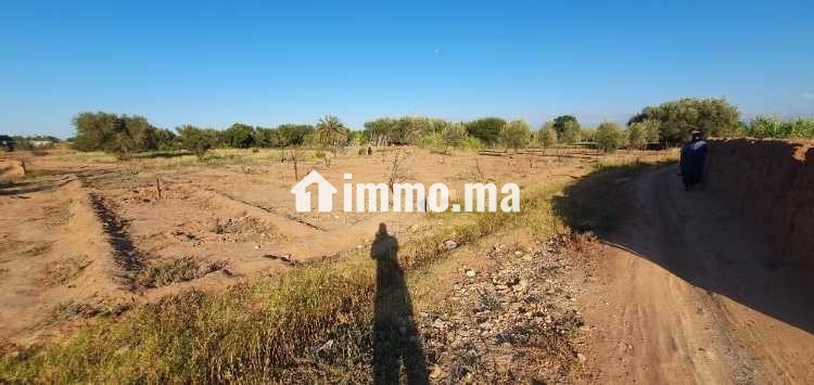 Terrain nu - Vente Immobilier - Marrakech - photo 1