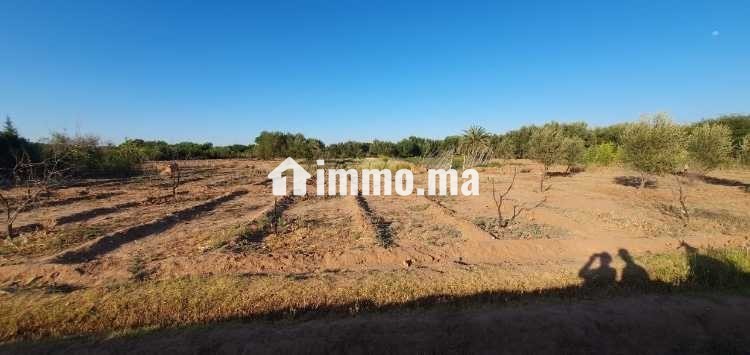 Terrain nu - Vente Immobilier - Marrakech - photo 2