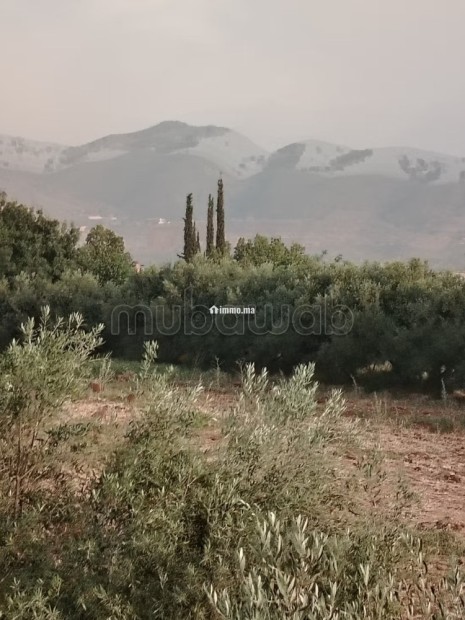 Villa sbiti - Location Immobilier - Autre - photo 7