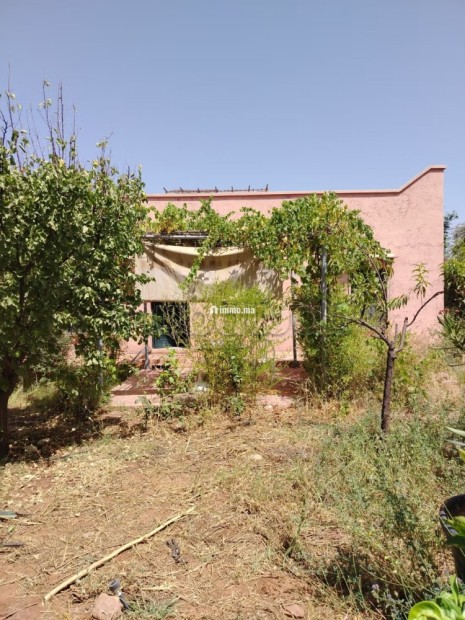 Villa sbiti - Location Immobilier - Autre - photo 8
