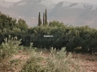 Villa sbiti - Villa à louer - Autre