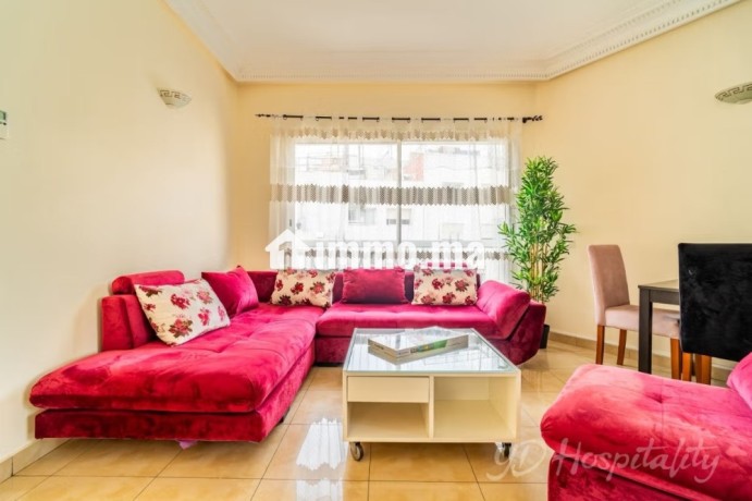 appartement-meuble-avec-terrasse-big-1