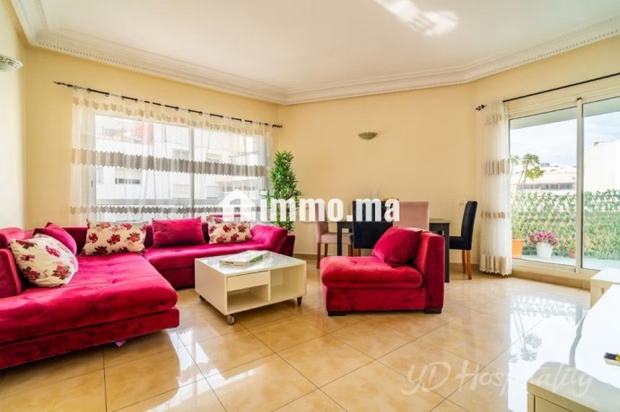 appartement-meuble-avec-terrasse-big-2