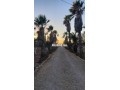 ferme-laanabra-small-0