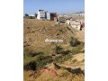 bkaa-ardy-llbyaa-fy-mghogh-hom-alarbaayn-small-0