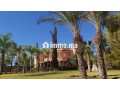 palais-style-saadien-vna-obtenue-small-2