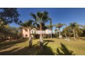palais-style-saadien-vna-obtenue-small-3