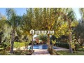 palais-style-saadien-vna-obtenue-small-7
