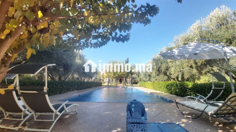 palais-style-saadien-vna-obtenue-big-5