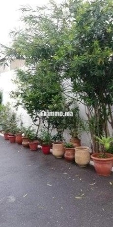 petit-appartement-meuble-a-louer-a-rabat-hassan-big-1