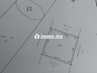 bkaa-121mtr-llbyaa-bmyrllft-alshatyy