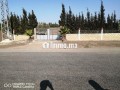 mzraa-llbyaa-stat-small-11