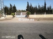 mzraa-llbyaa-stat