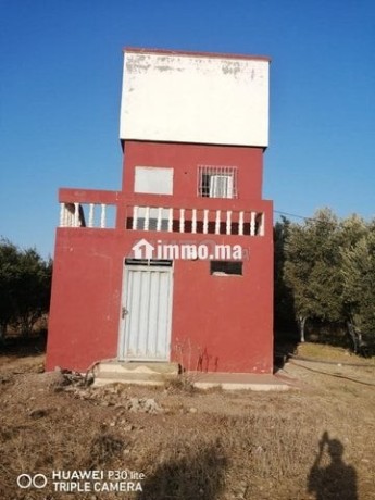 mzraa-llbyaa-stat-big-13