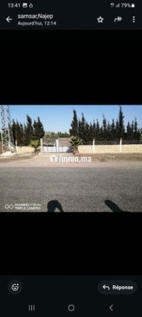 mzraa-llbyaa-stat-big-5