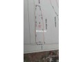 terrain-avec-oliviers-small-0