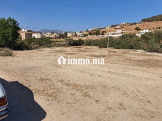 terrain-constructible