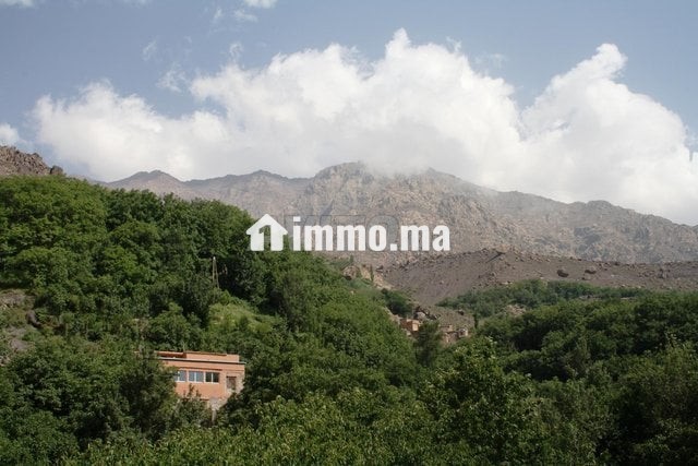 dar-amalou-auberge-familiale-a-imlil-950-dhs-big-0