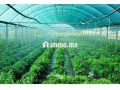 ard13-hktar-bha-mshroaa-flahy-bganb-alrbat-small-1