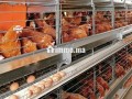 ard13-hktar-bha-mshroaa-flahy-bganb-alrbat-small-4