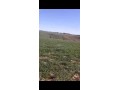 terrain-titre-a-arjat-small-1