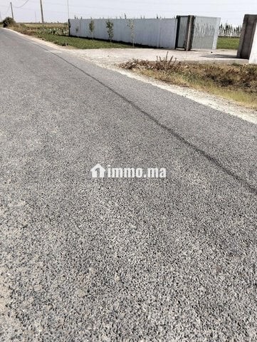 دوار سلاهمة جماعة ولاد حمدان - Vente Immobilier - El Jadida - photo 1