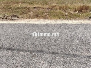 دوار سلاهمة جماعة ولاد حمدان - Terrain à vendre - El Jadida
