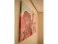 studio-neuf-oriente-sud-meuble-sans-frais-dagence-small-9