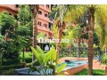 appartement-bien-meuble-piscines-centre-ville-small-0