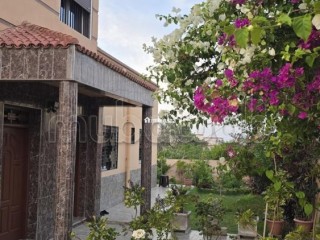 appartement-pour-location-journalier