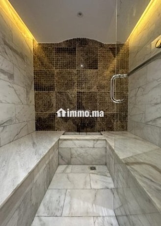 villa-meublee-a-louer-souissi-lmenzeh-big-10