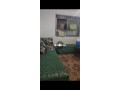 andls-almhmdy-small-0