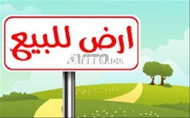 قطعة ارضية محفظة للبيع بتجزئة صوفيا - Vente Immobilier - Martil - photo 1
