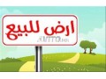 ktaa-ardy-mhfth-llbyaa-btgzy-sofya-small-0