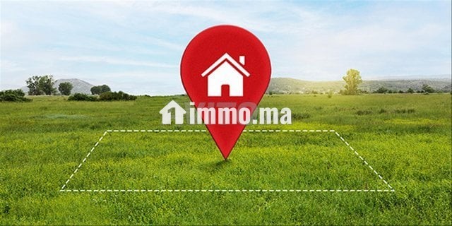 Terrain Villa Titr Foncier rout Tiznit PLage Aglou - Vente Immobilier - Tiznit - photo 2