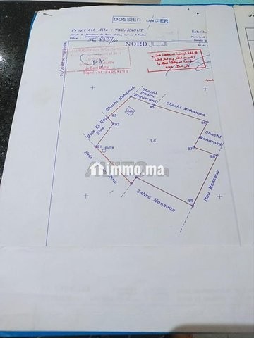 ارض فلاحية للبيع - Vente Immobilier - Kasba Tadla - photo 1