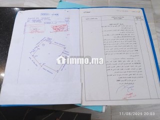 ارض فلاحية للبيع - Terrain à vendre - Kasba Tadla